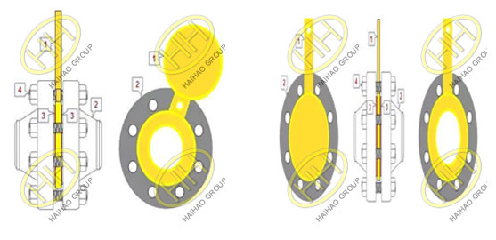 Spectacle flange introduction