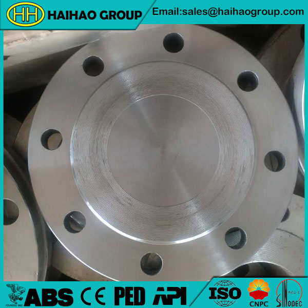 A105 DIN PN6 RF Blind Flange