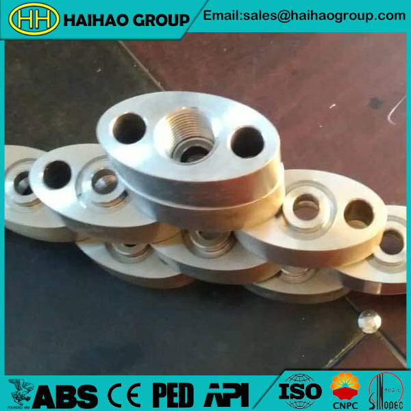 ASTM A182 F304 Oval Flange