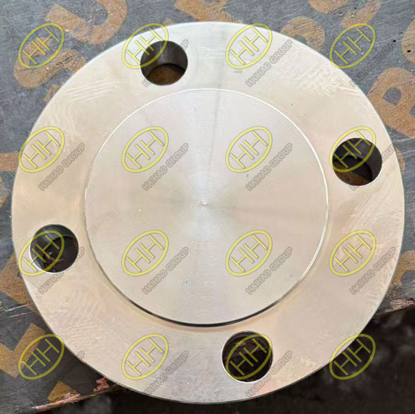 ASTM A182 F321 blind flange manufactured by Haihao Group