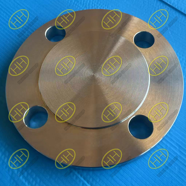 ASTM A182 F51 S31803 JIS B2220 10K RF blind flange
