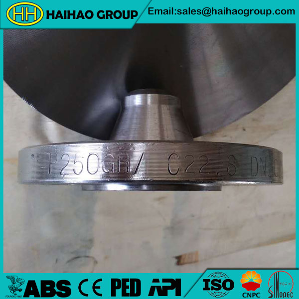 P250GH DN20 NP10 RF WN FLANGE