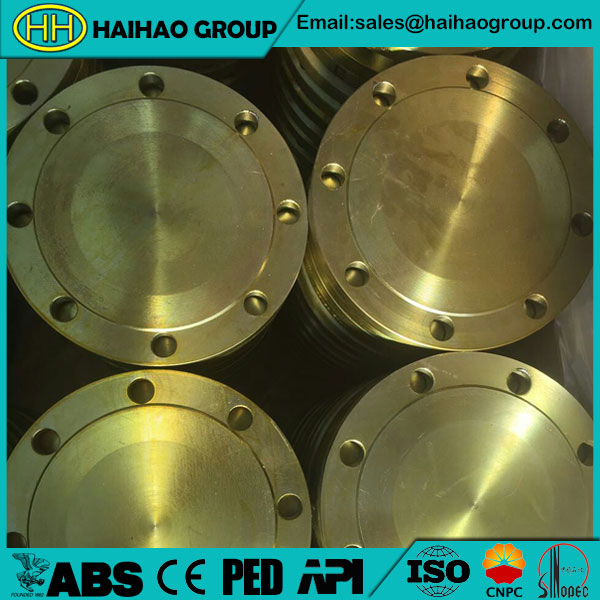 JIS B2220 10K Blind Flange