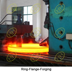 Ring-Flange-Forging