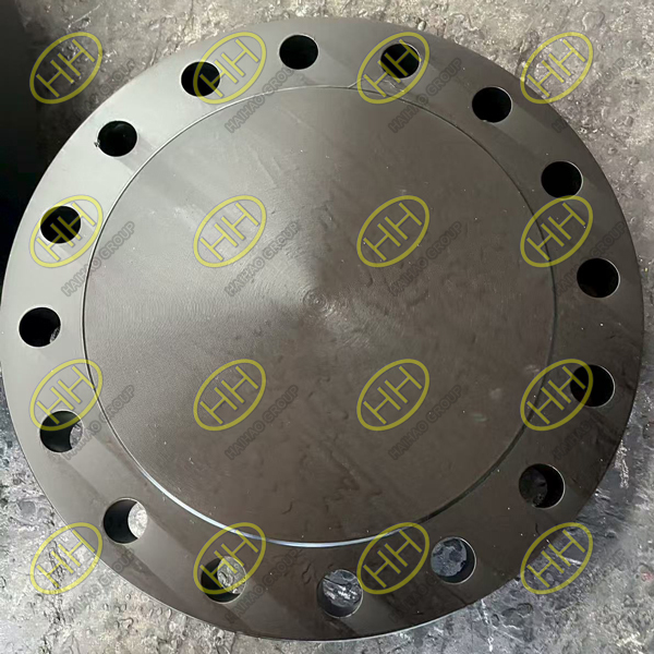 SA-105 blind flange manufactured by Haihao Group