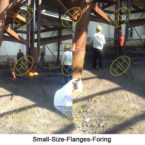 Small-Size-Flanges-Foring