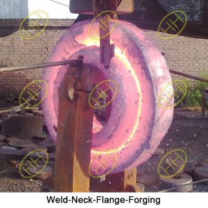 Weld-Neck-Flange-Forging