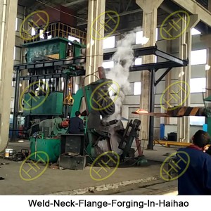 Weld-Neck-Flange-Forging-In-Haihao