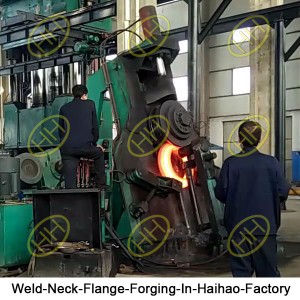 Weld-Neck-Flange-Forging-In-Haihao-Factory