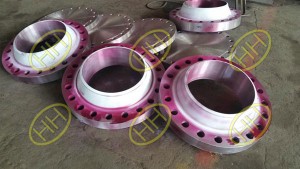 Weld Neck Flange and Blind Flange