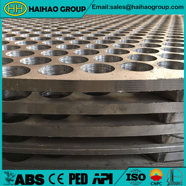 Carbon Steel ASTM A105 Tube Sheet (Tubesheet)