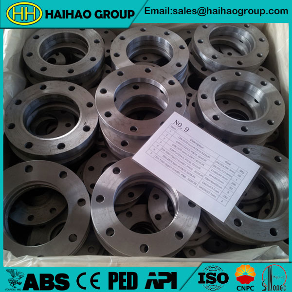 EN1092 ASTM A182 F304 Stainless Steel RF Plate/Flat Flange